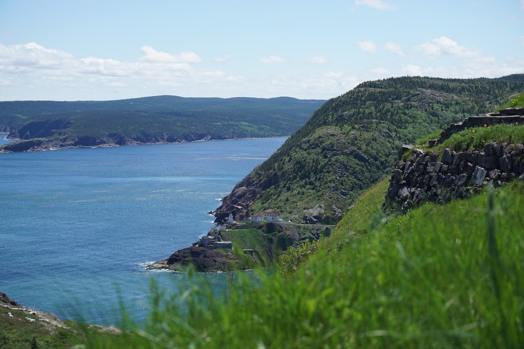 Cheyne Drive Park | 55 Cheyne Dr, St. Johns, NL A1A 5W5, Canada