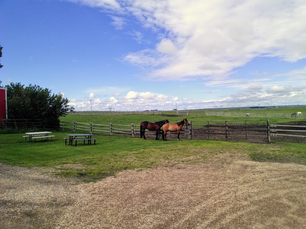 Crossfield Horse Park | 291113 RR 10, Crossfield, AB T0M 0S0, Canada | Phone: (403) 946-5202