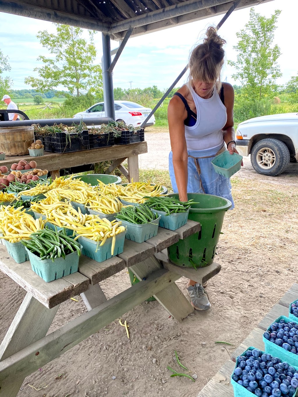 Van Grootheest Farm | 48 Stanley St, Bloomfield, ON K0K 1G0, Canada | Phone: (613) 393-2077