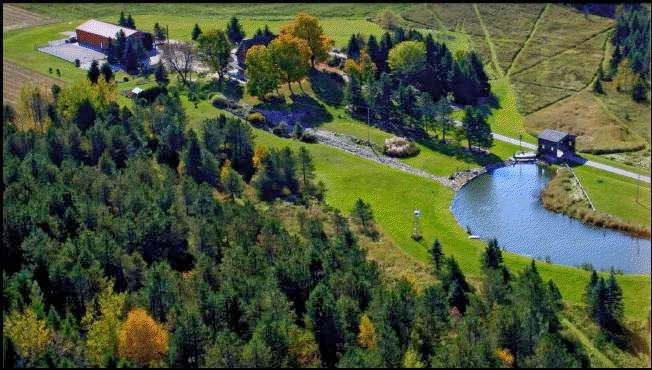 Covered Bridge Boarding Kennel | 301 Concession 4 Rd E, Tiny, ON L0L 2T0, Canada | Phone: (705) 322-0994