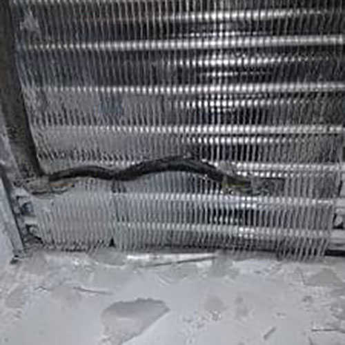 MAX Appliance Repair Innisfil | 1546 Farrow Cresent, Innisfil, ON L9S 4R7, Canada | Phone: (705) 481-1565
