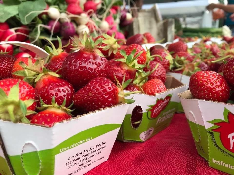 Le Roi de la Fraise Gino Maynard | 20 Petit rang Saint-Charles, Saint-Paul-dAbbotsford, QC J0E 1A0, Canada | Phone: (450) 379-9252
