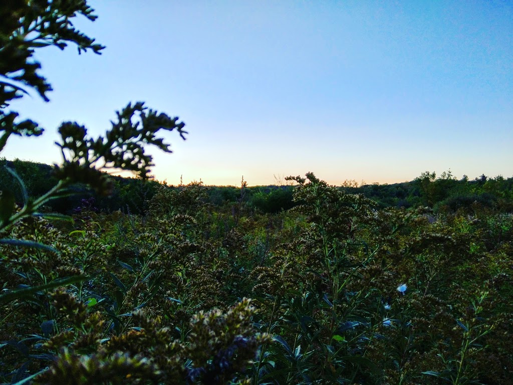 Pioneer Trail | Prom. de la Gatineau, Gatineau, QC J9A, Canada | Phone: (819) 827-2020