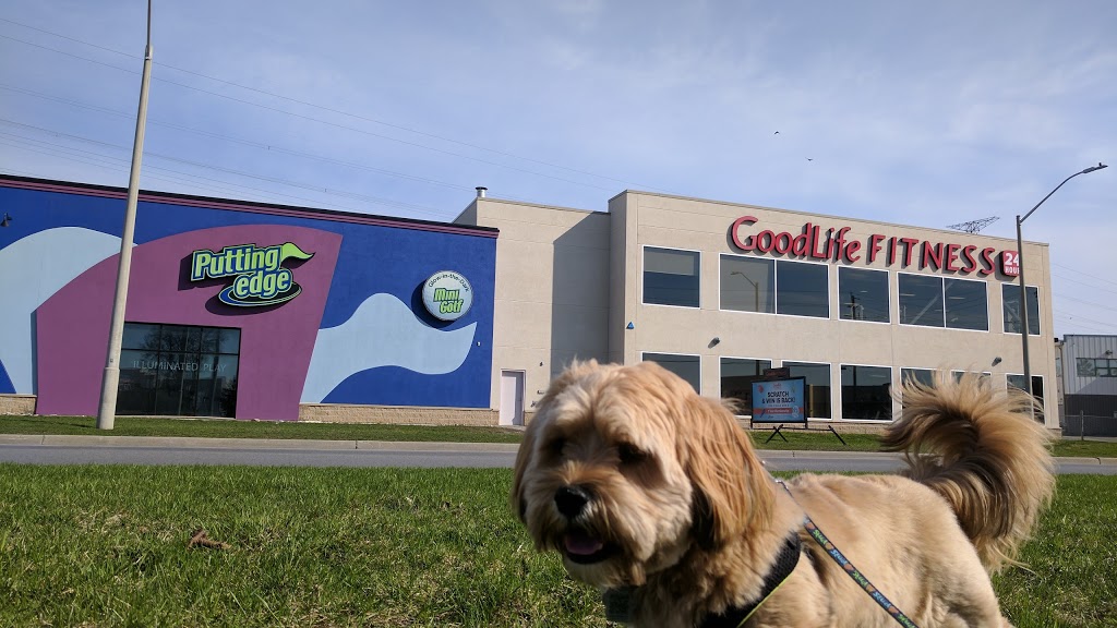 GoodLife Fitness Ottawa Hunt | 5 Roydon Pl, Ottawa, ON K2E 1A3, Canada | Phone: (613) 739-4070