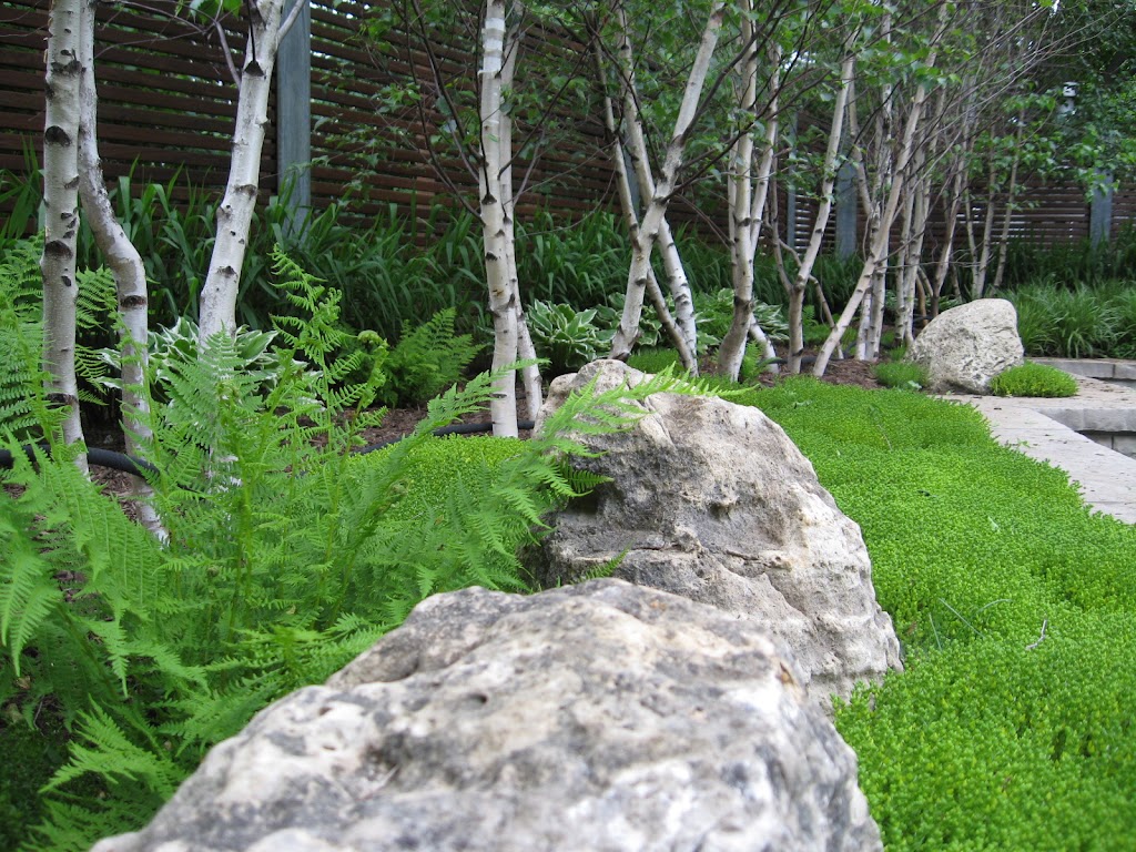 Rooted in Stone Inc | 224 Ray Snow Blvd, Newmarket, ON L3X 3J3, Canada | Phone: (289) 231-9914