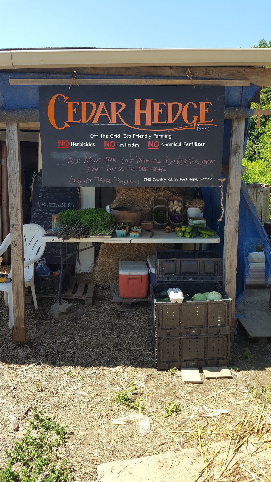 Cedar Hedge Farm | 7612 Northumberland County Rd 28, Campbellcroft, ON L0A 1B0, Canada | Phone: (905) 375-9488
