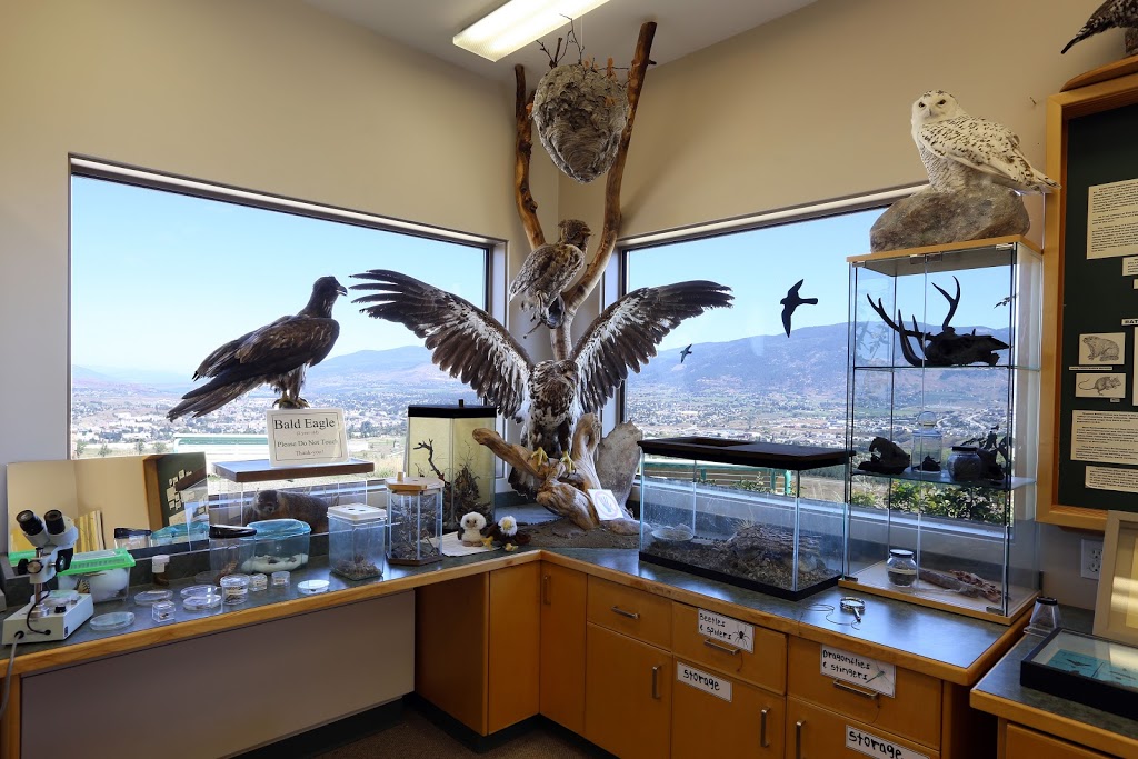 Allan Brooks Nature Centre | 250 Allan Brooks Way, Vernon, BC V1T 9L4, Canada | Phone: (250) 260-4227