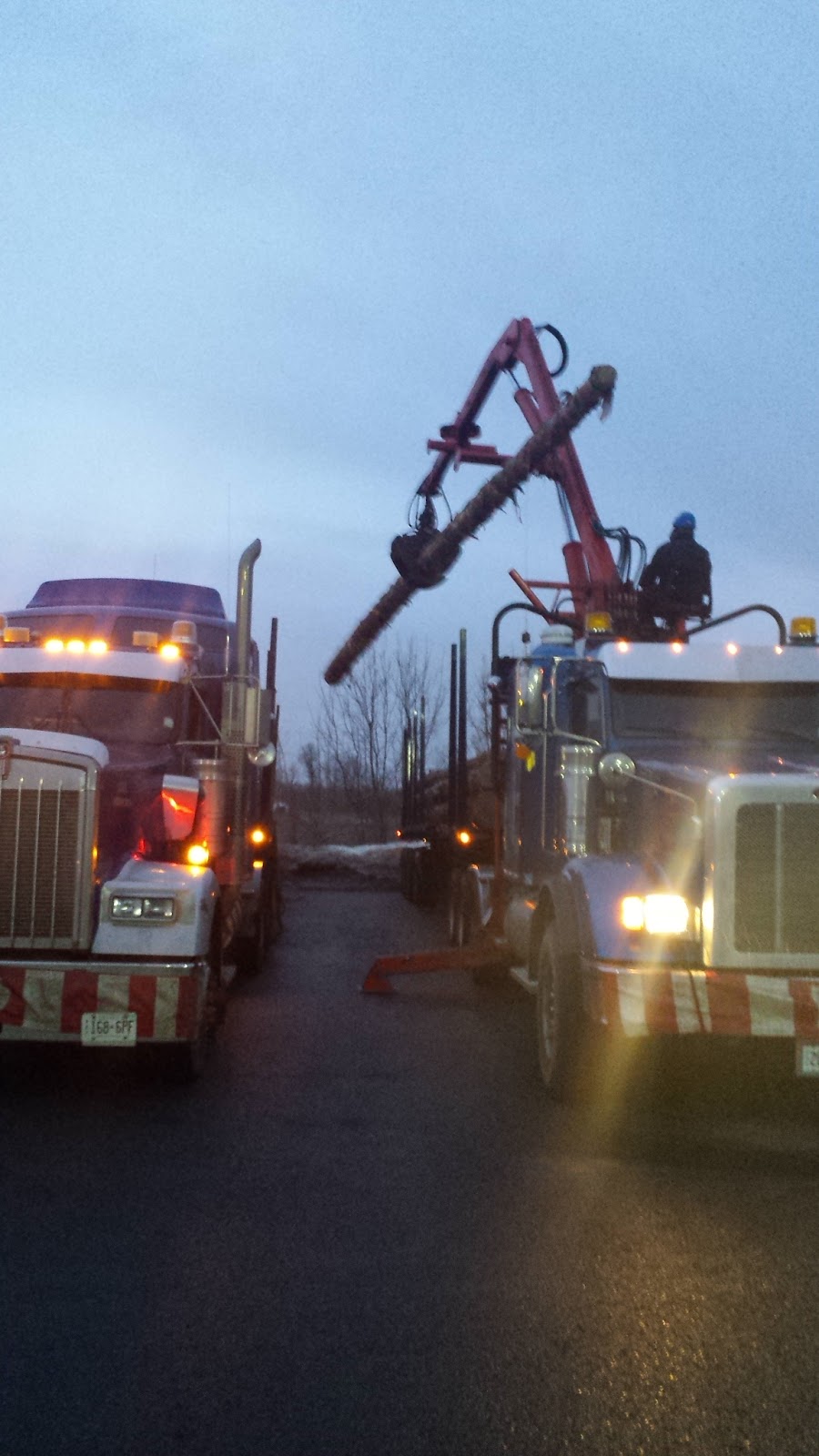 Dinsmore Trucking | 122 Hoffman St, Clarksburg, ON N0H 1J0, Canada | Phone: (800) 265-3732