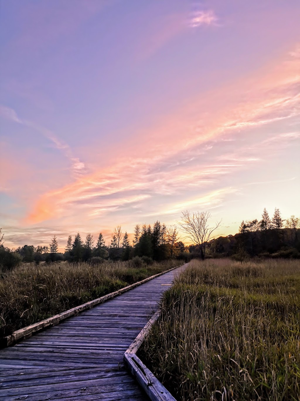Minden River Walk | 2-62 Invergordon Ave, Minden, ON K0M 2K0, Canada | Phone: (705) 286-1260