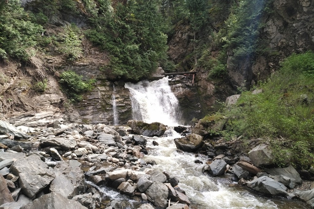 Treetop Flyers | 305 Brooke Dr, Chase, BC V0E 1M0, Canada | Phone: (866) 343-6761