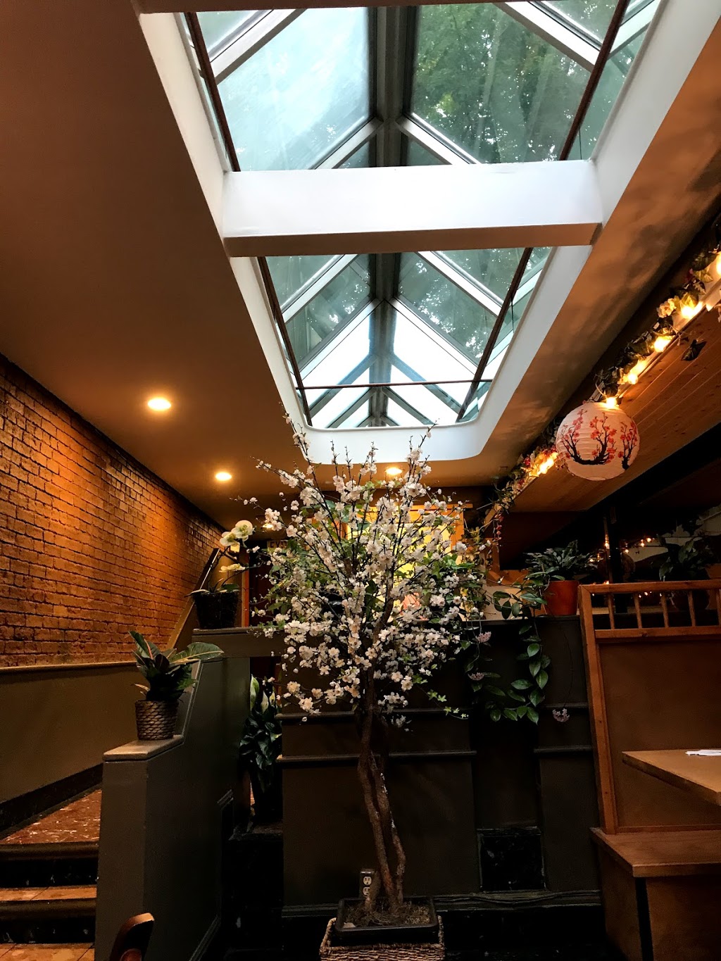 Hajime Udon | 270 Dupont St, Toronto, ON M5R 1V7, Canada | Phone: (416) 792-7790