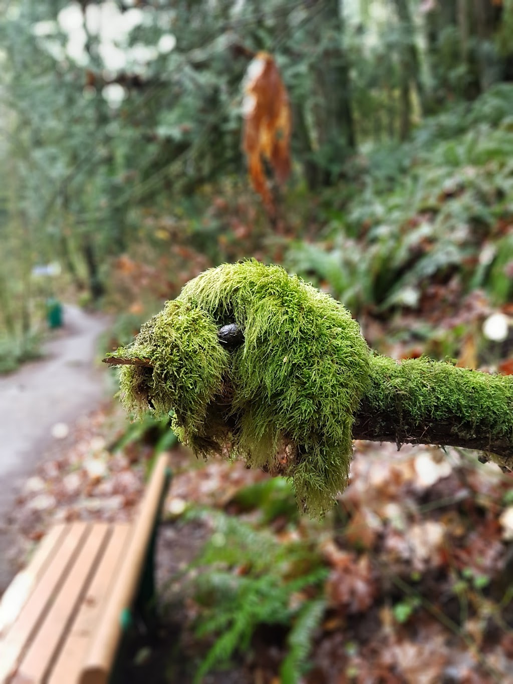 Arroyo Park | 1700 Old Samish Rd, Bellingham, WA 98229, USA | Phone: (360) 778-7000