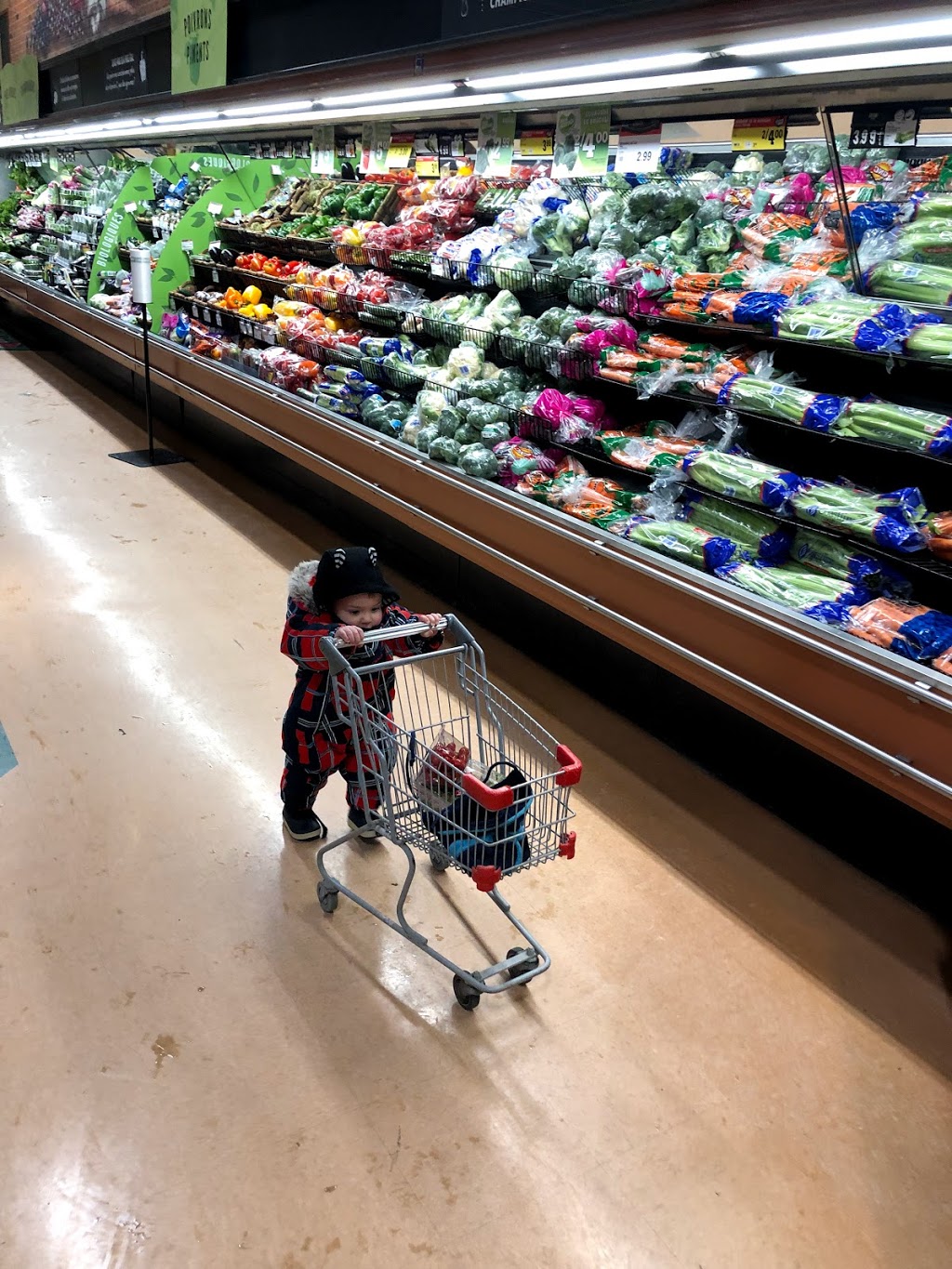 IGA Morin-Heights | 680 Chemin du Village, Morin-Heights, QC J0R 1H0, Canada | Phone: (450) 226-5769