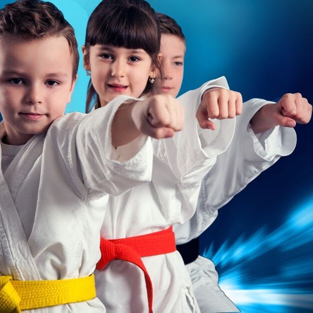 Boundless Martial Arts | 50 Goebel Ave, Cambridge, ON N3C 1Z1, Canada | Phone: (226) 218-3660