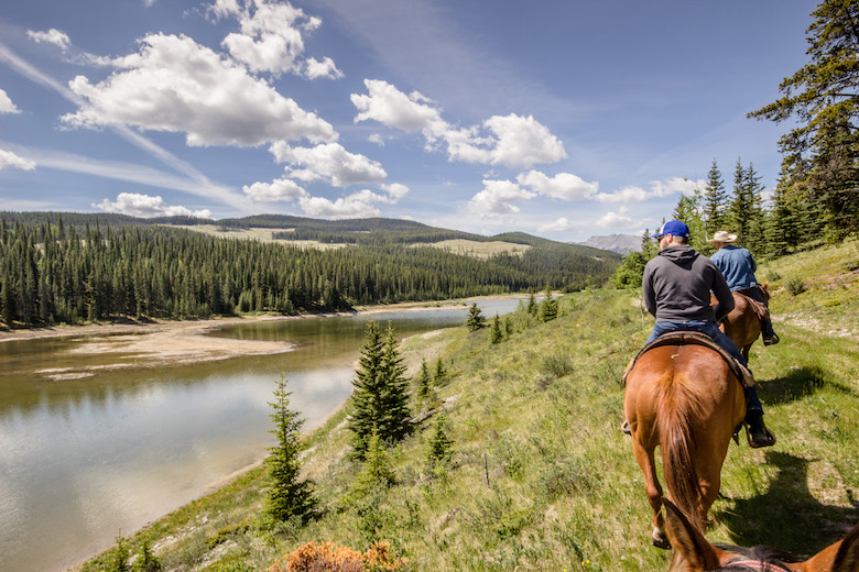 Kevin Bargholz- CIR Realty | Sundre, AB T0M 1X0, Canada | Phone: (403) 638-6583