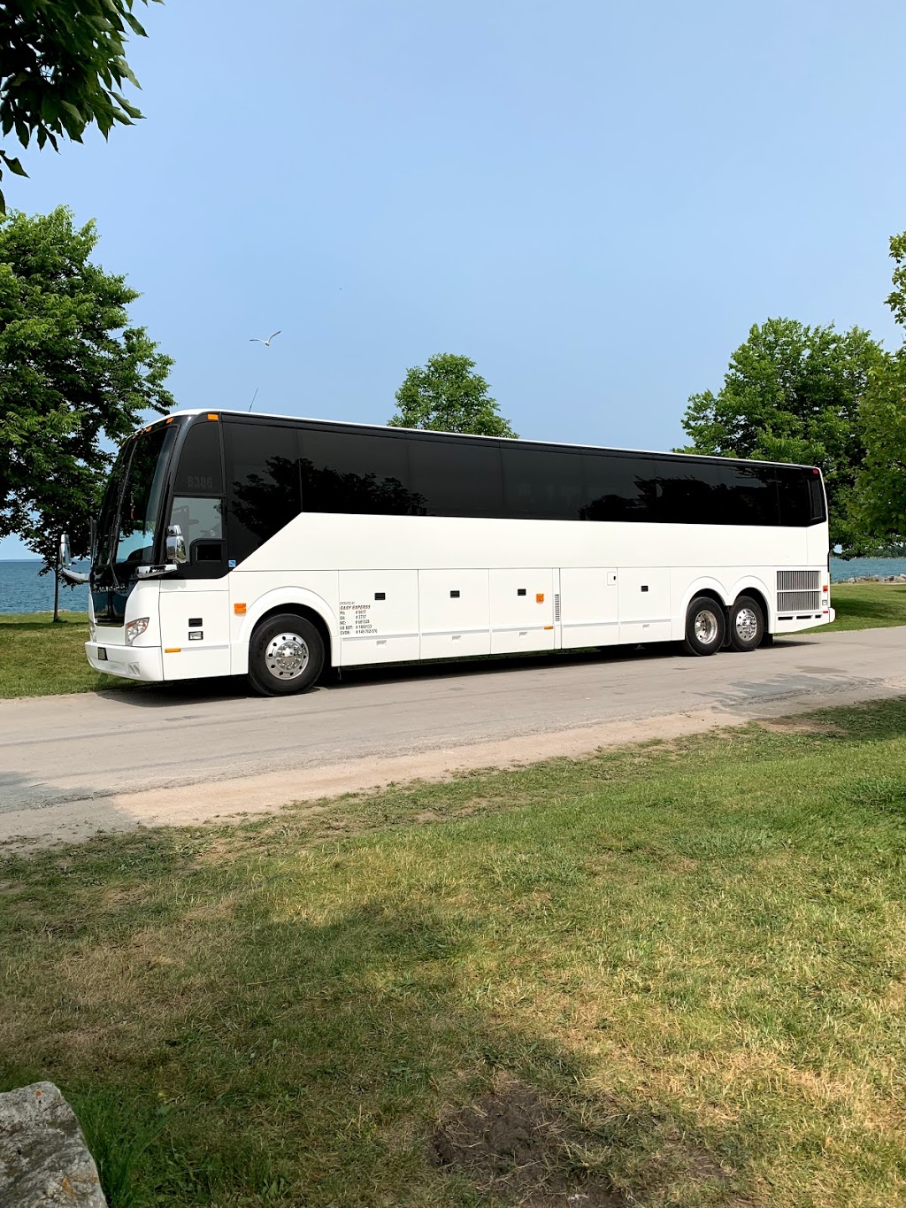 Easy Express - Intercity Bus Transfer Service Markham, Book/Hire | 81 Kentview Crescent, Markham, ON L6B 0L6, Canada | Phone: (647) 808-3350