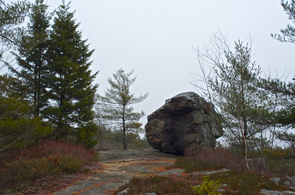 Eagles Nest | Bedford, NS B4A, Canada