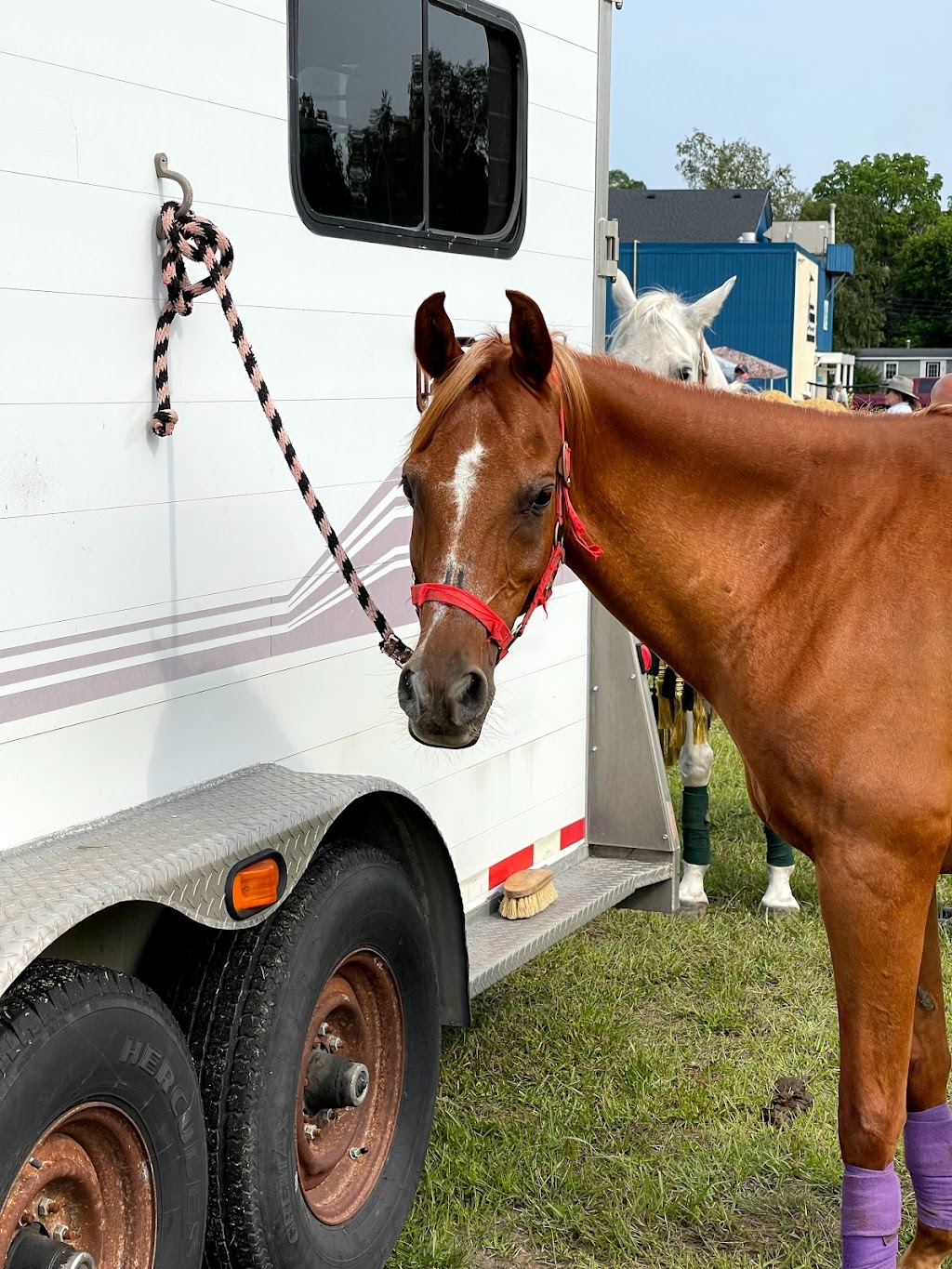 Bayfield Agricultural Society Grounds | 1 Fry St, Bayfield, ON N0M 1G0, Canada | Phone: (519) 482-5490