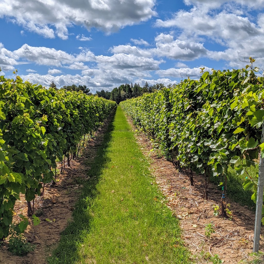 Richibucto River Wine Estate | 940 NB-495, Mundleville, NB E4W 2N5, Canada | Phone: (506) 523-9056