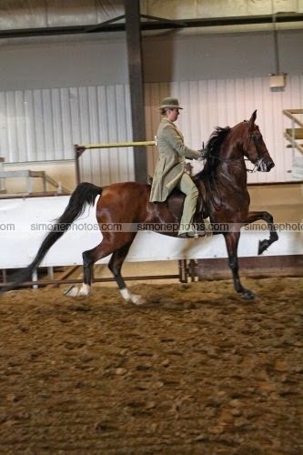Rogers Riding Academy | RR 2, Millet, AB T0C 1Z0, Canada | Phone: (780) 387-8256