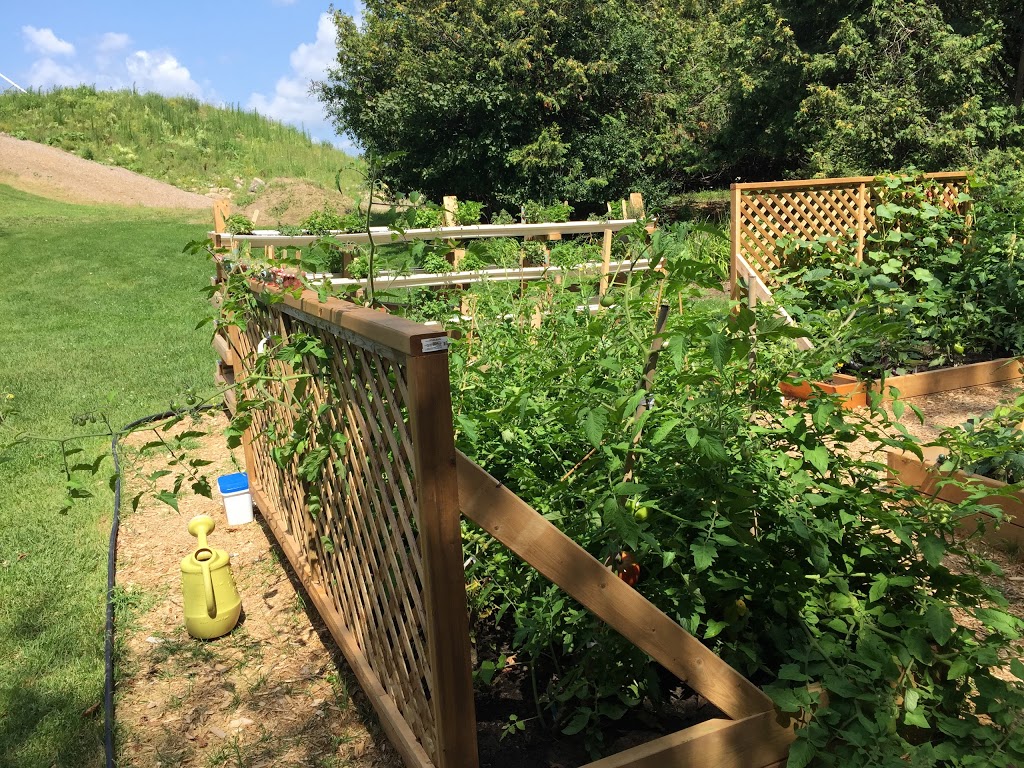 Parc régional StBernard 219 Rang SaintAndré, SaintBernardde