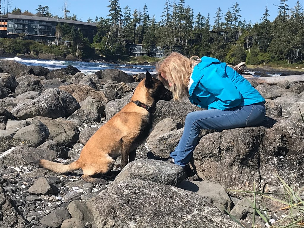 Simply Serene Reiki/Animal Reiki Reflexology | 676 Martindale Rd, Parksville, BC V9P 1R8, Canada | Phone: (250) 591-0511