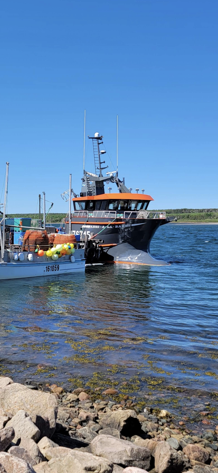 Poirier Fish Ltd | 15347 Cabot Trail, Chéticamp, NS B0E 1H0, Canada | Phone: (902) 224-2158