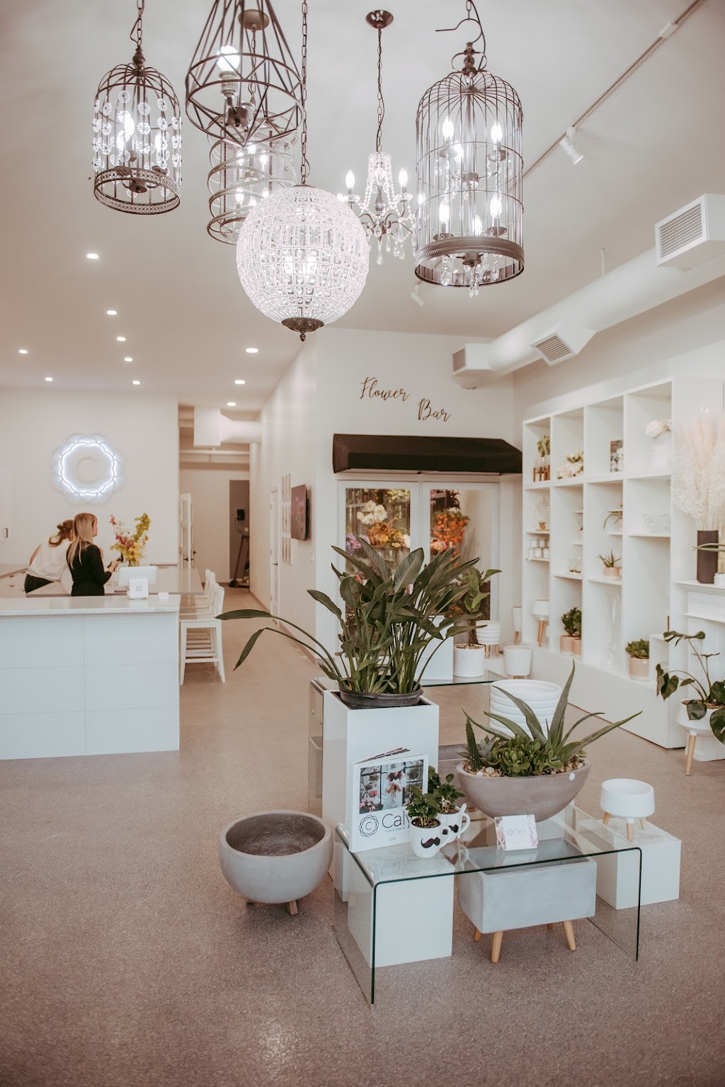 Calyx Floral Design | 7105 20 Sharpe Ave, Red Deer, AB T4R 0V2, Canada | Phone: (403) 352-4055