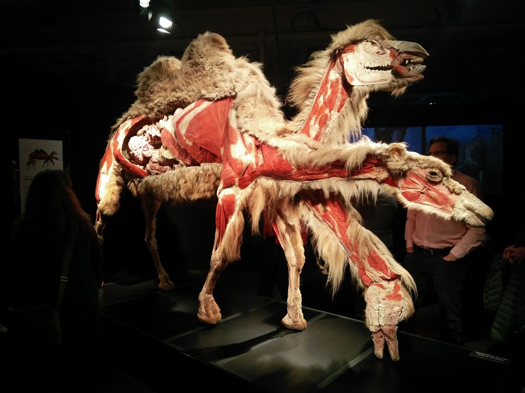 Cinéma IMAX TELUS du Centre des sciences de Montréal | 2 Rue de la Commune O, Montréal, QC H2Y 2E2, Canada | Phone: (514) 496-4629