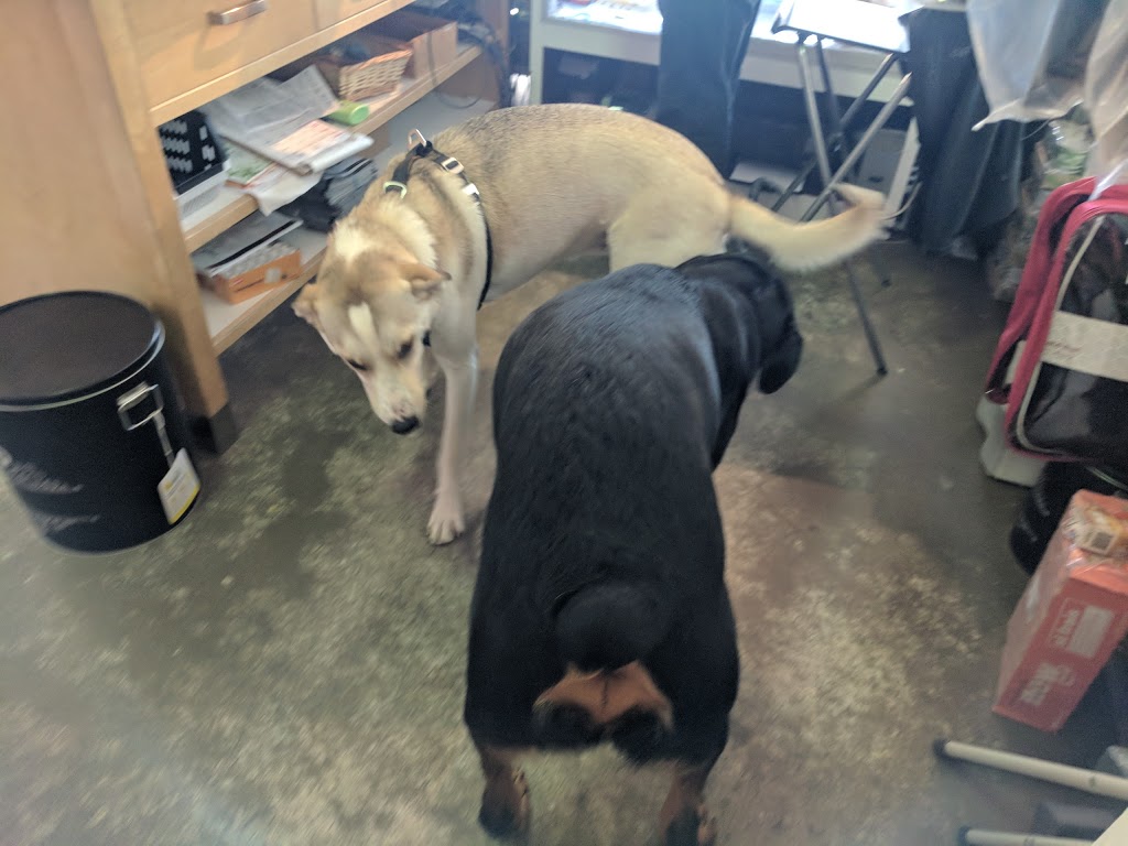 Bark & Fitz - London - Under New Ownership! | 611 Fanshawe Park Rd W, London, ON N6G 5B3, Canada | Phone: (519) 473-3400
