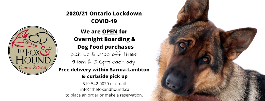 The Fox and Hound Canine Retreat | 2437 Michigan Line, Brights Grove, ON N0N 1C0, Canada | Phone: (519) 542-0070