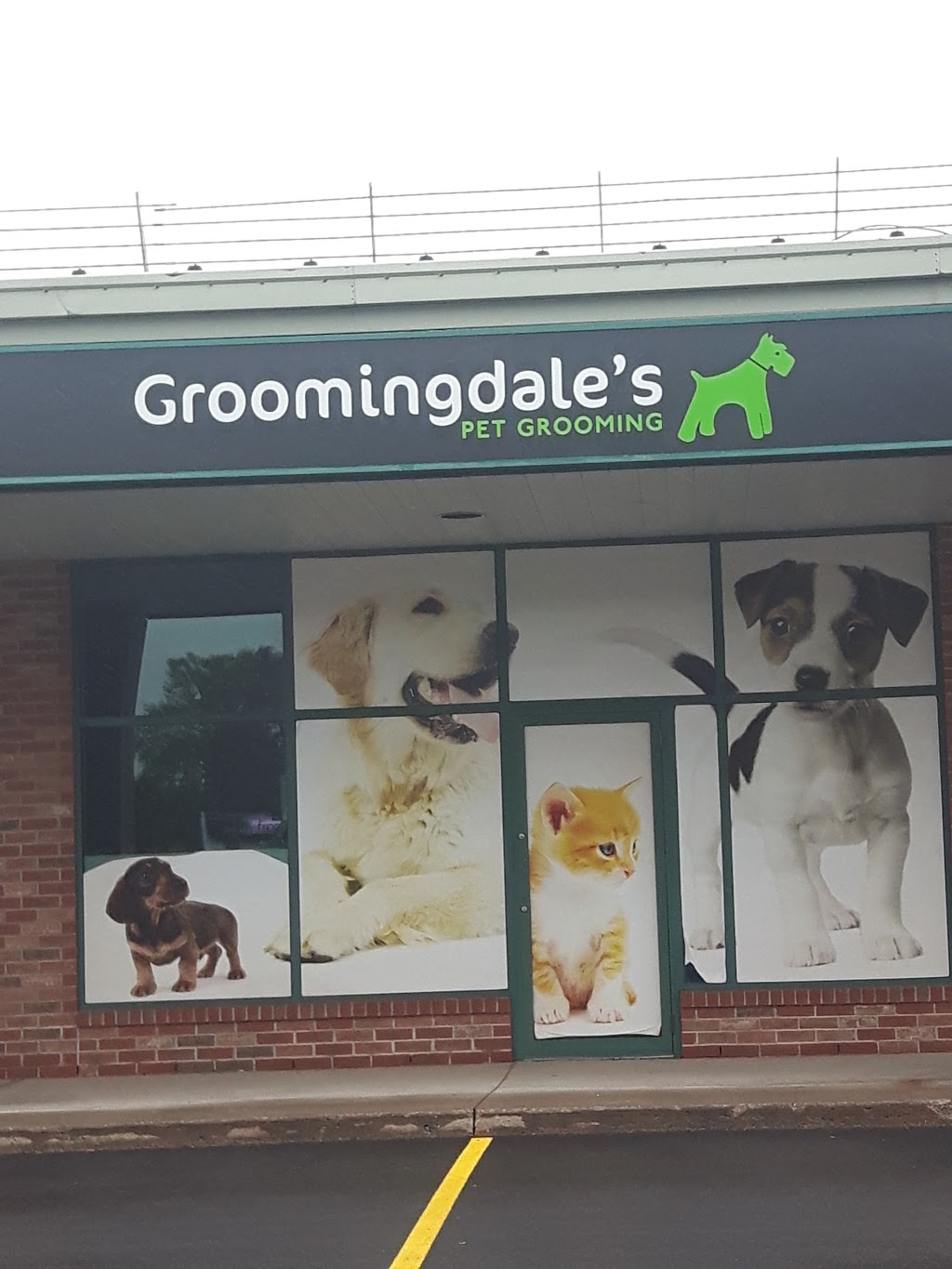 Pet Valu | 3714 Portage Rd, Niagara Falls, ON L2J 2K8, Canada | Phone: (905) 354-7444