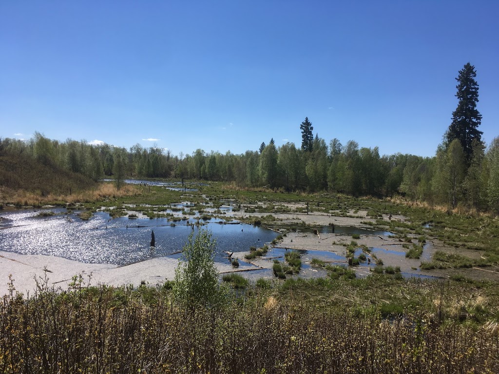 Beaver Hills Biodiversity Trail | Strathcona County, AB T8G 2C8, Canada | Phone: (780) 464-8117