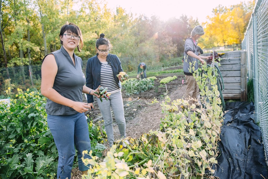 UofC Community Garden | Calgary, AB T2N 4V5, Canada