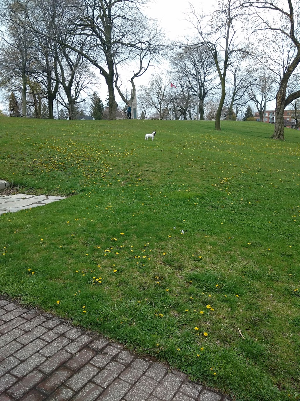 HH Knoll Lakeview Park | Port Colborne, ON L3K, Canada | Phone: (905) 835-2901