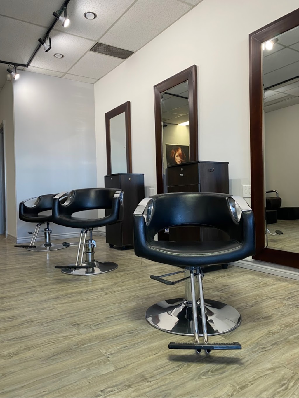 Abzolute Painting | 5220 22 Ave NW, Calgary, AB T3B 0Y9, Canada | Phone: (403) 471-8662