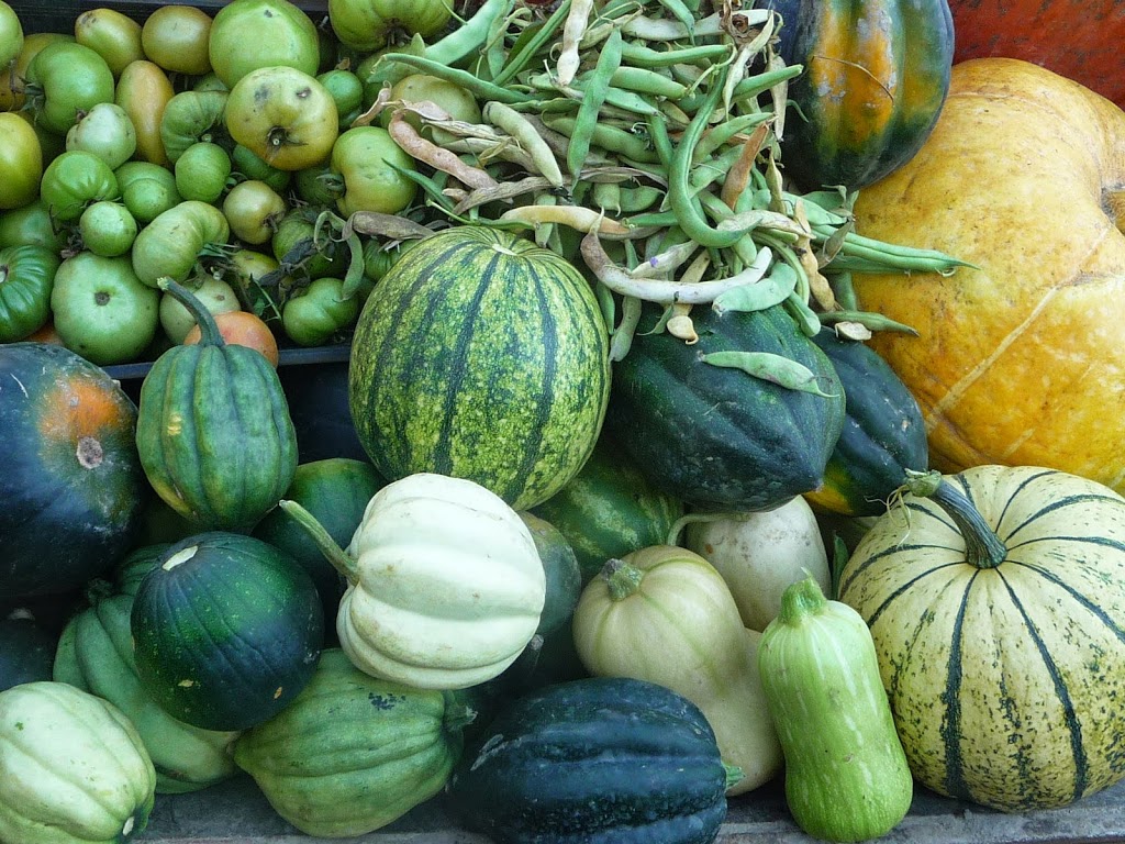 Reggies Veggies | 7342 Clover Rd, Pemberton, BC V0N 2L0, Canada | Phone: (604) 698-9998