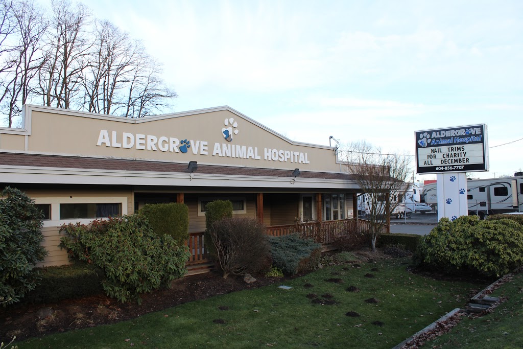 Aldergrove Animal Hospital Ltd | 26841 Fraser Hwy, Aldergrove, BC V4W 3E4, Canada | Phone: (604) 856-7707