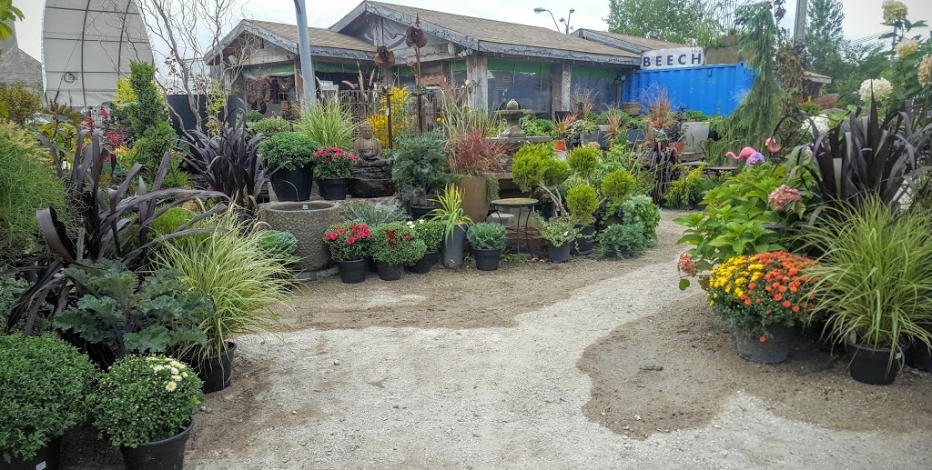Beech Nursery | 4 Carlaw Ave, Toronto, ON M4M 2R5, Canada | Phone: (416) 461-6555