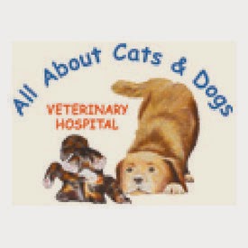 All About Cats & Dogs Veterinary Hospital | veterinary care | 1010 Taylor St E, Saskatoon, SK S7H 1W5, Canada | 3063827387 OR +1 306-382-7387