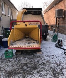 Godon Tree Care | 15682 Mt Hope Rd, Bolton, ON L7E 3K6, Canada | Phone: (519) 878-4761