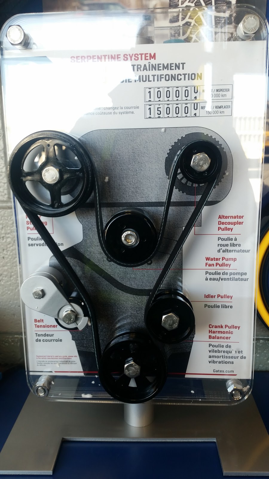 Sturgeon Automotive & Machine Co Ltd | 2640 Portage Ave, Winnipeg, MB R3J 0P8, Canada | Phone: (204) 837-2315