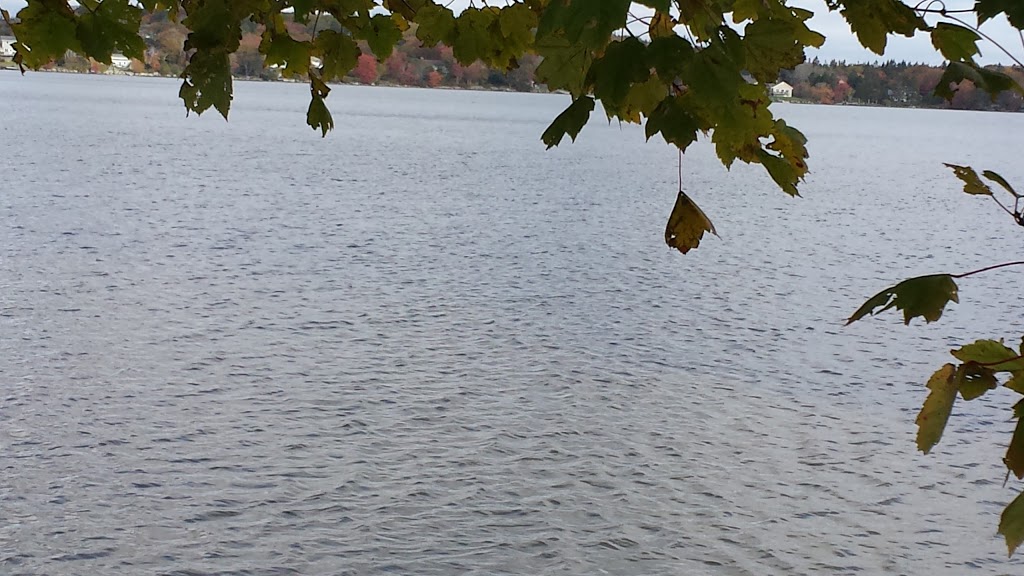 Campbell Point Beach Park | 187 Lakewood Dr, Brookside, NS B3T 1S6, Canada