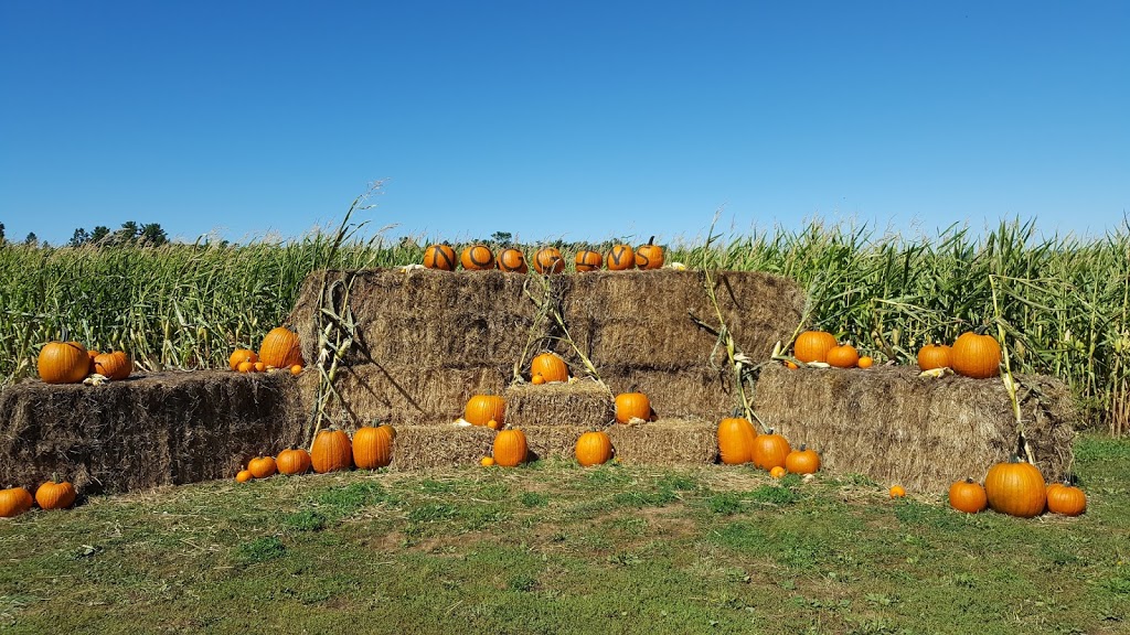 Kings Produce Ltd. | 43 NS-358, Wolfville, NS B4P 2R2, Canada | Phone: (902) 542-5515