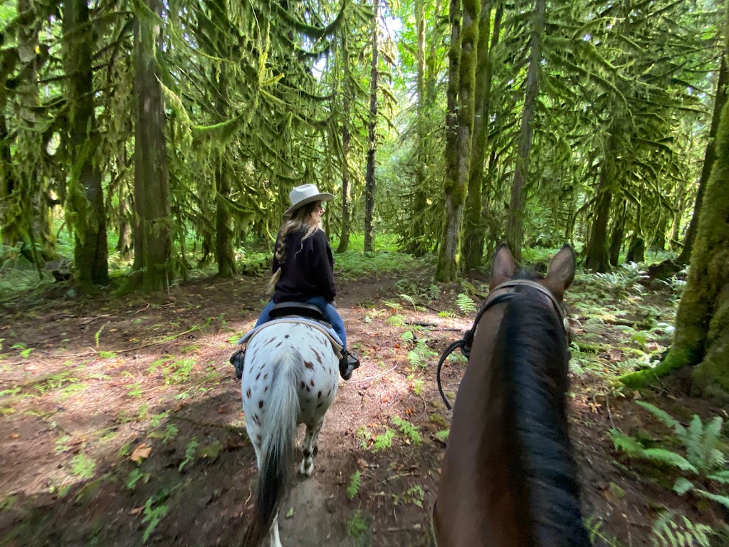 Squamish River Horse Adventures - SRHA | 15986 Squamish Valley Rd, Brackendale, BC V0N 1H0, Canada | Phone: (604) 905-8565