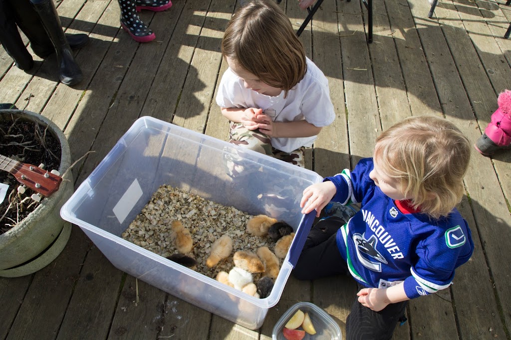 Cobble Hill Learning Center | 1400 Cowichan Bay Rd, Cobble Hill, BC V0R 1L3, Canada | Phone: (250) 929-5555
