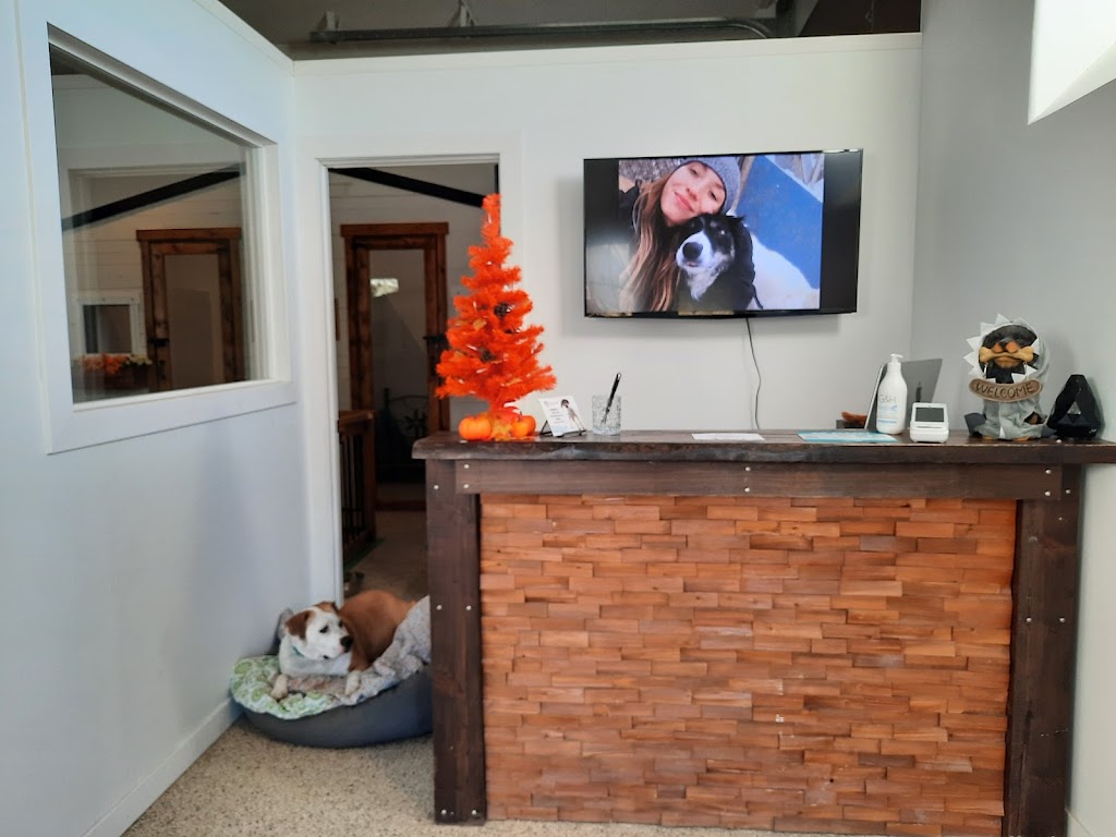 Little Treetops Pet Resort | 262108, Range Rd 43, Cochrane, AB T4C 1B8, Canada | Phone: (403) 851-0341