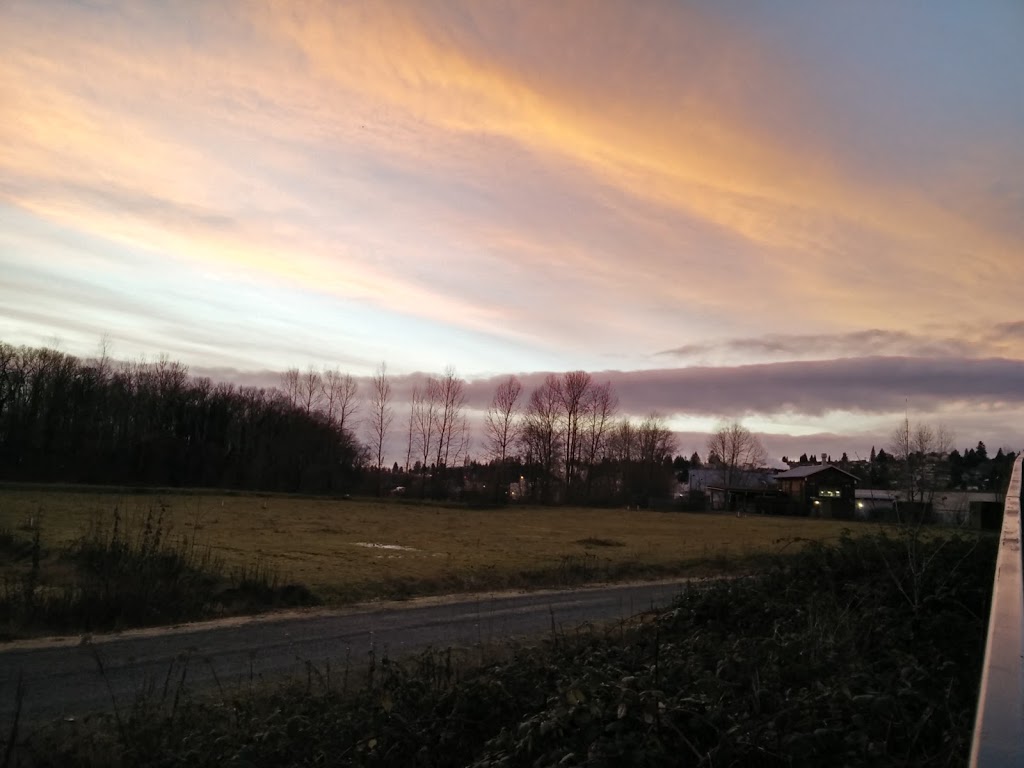 Quayside Dog Area | 6P2, 3 Rialto Ct, New Westminster, BC V3M 6P2, Canada
