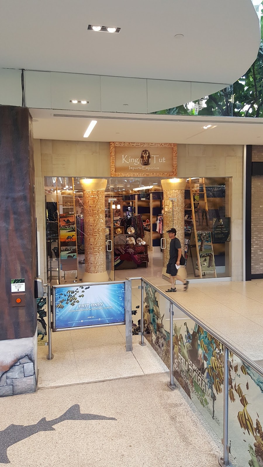 KingTut Imports Emporuim | #1359, 8882 170 street, West Edmonton mall, level one, Edmonton, AB T5T 4M2, Canada | Phone: (780) 341-3301