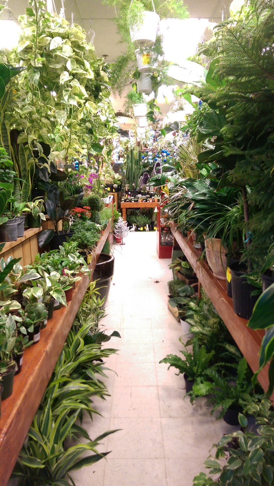 Trendybucks | 4101 Main St, Vancouver, BC V5V 3P6, Canada | Phone: (604) 568-6360